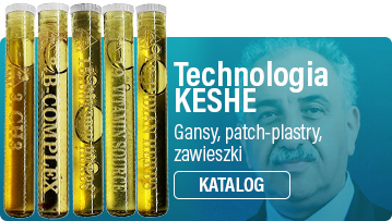 Technologia KESHE